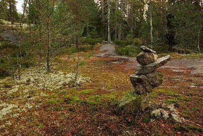 Tyresta National Park