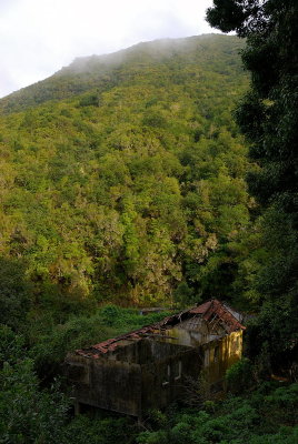 Ruin near Riberio Frio