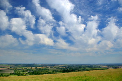 g6/69/315669/3/83330945.ExlG21s4.jpg