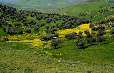 near Lago Pozzillo,wonderful landscape in spring