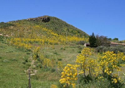 ca 15 miles western of Mt.Etna