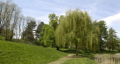 washington_park
