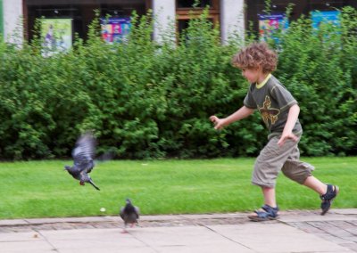 Louis chasing pigeons Metz _DSC1233 sRGB-02.jpg