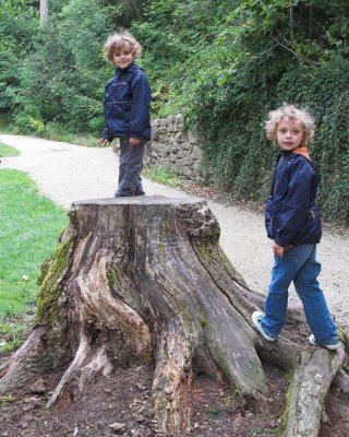 Oliver and Louis on tree stump Chatillon sur Seine _DSC0925 sRGB-01.jpg