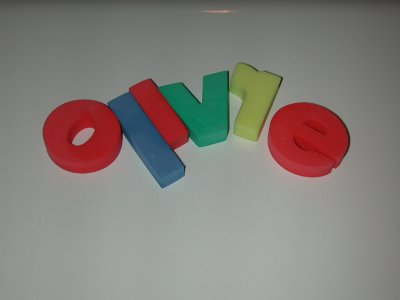 DSCN0419.JPG