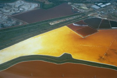 Salt
