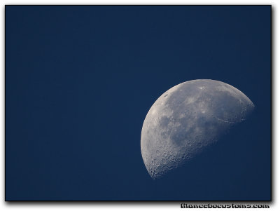 moon4781.jpg