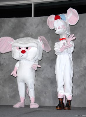 Pinky and The Brain - Most Humorous