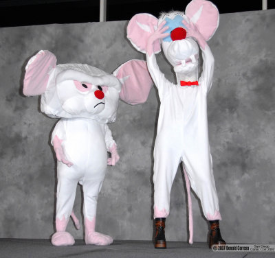 Pinky and the Brain