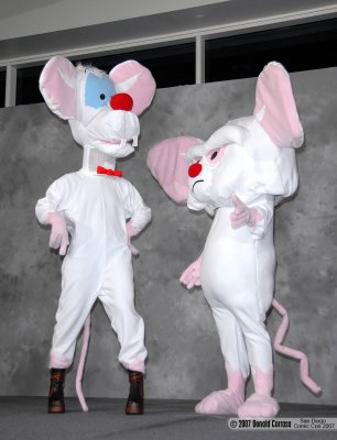 Pinky and the Brain
