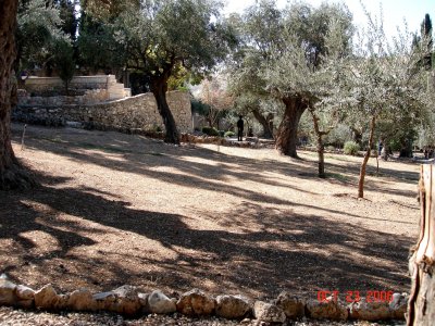 Garden of Gethsemane