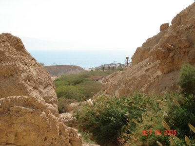 View of the Dead Sea in the Distance
