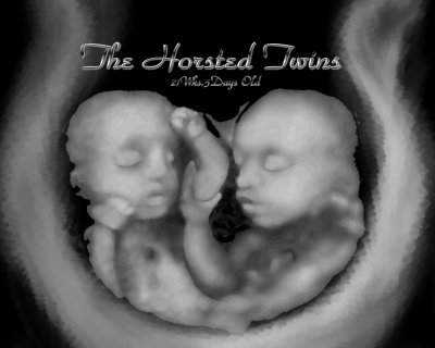 Horsted twins in black and white