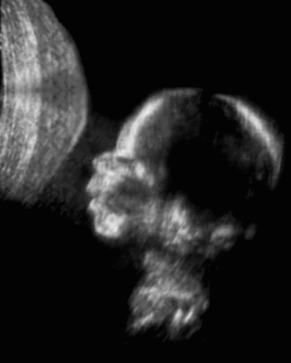 g6/69/475669/3/79116501.0xTC68t5.jpg