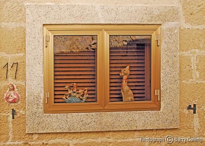 Malta Window with Porcelain Cat.jpg