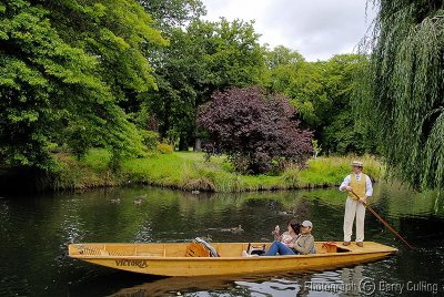 Punting on the Avon .jpg