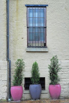 Barred Window with Pot Plants.jpg