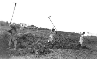 China 1906 Farmining using hoes. Hinghwa