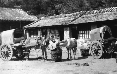 China 1906 Horse carts