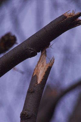 Open Wounds Remain