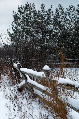 A Fence to be Mended