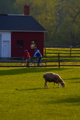 Knox Farm Bike Ride