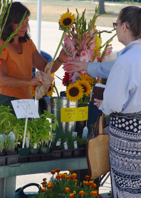 A Sale at the Farmers Market