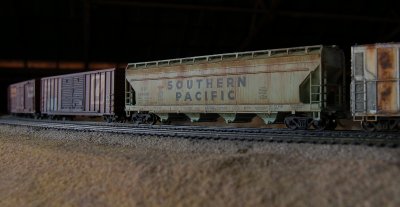 DSC_2449.JPG