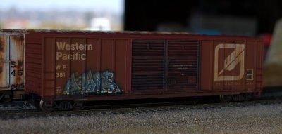 DSC_2452.JPG
