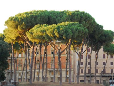 Italia / Italy