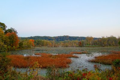 The Beaver Marsh, Cuyahoga National Park, Ohio