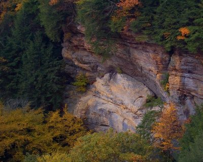 Conkers Hollow 8