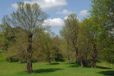 Paisagens e Cor