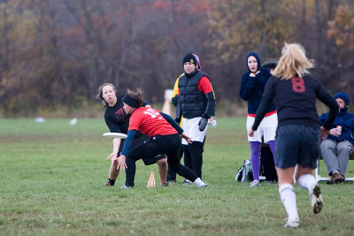 _MG_8906.jpg