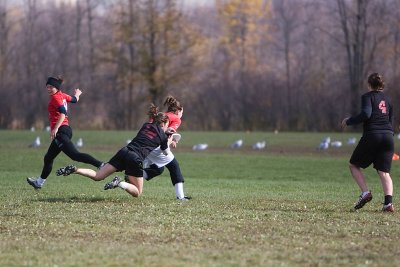 _MG_8983.jpg