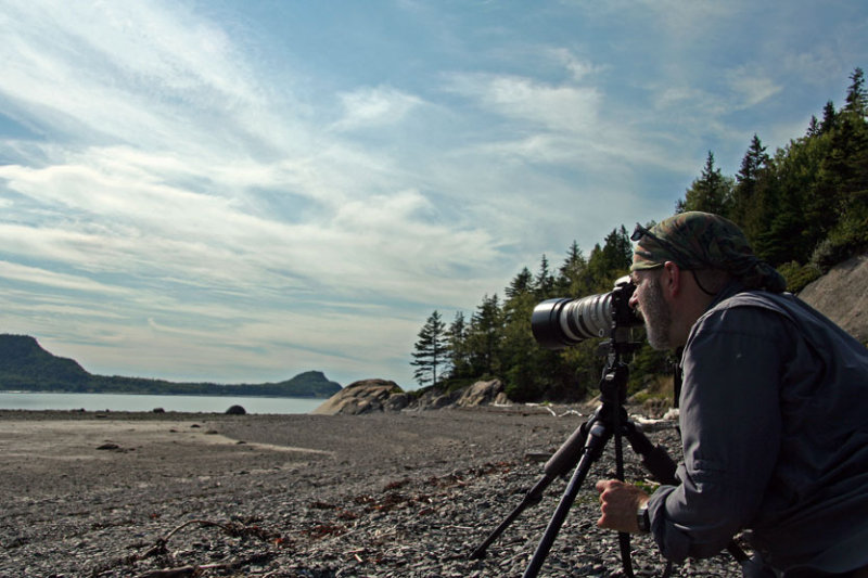 Moi photographiant les phoques_Me shooting the seals