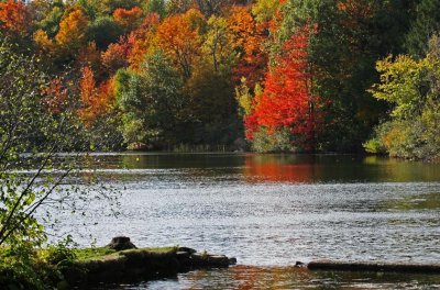 Automne_Fall_Mont St Bruno_IMG_5186.jpg