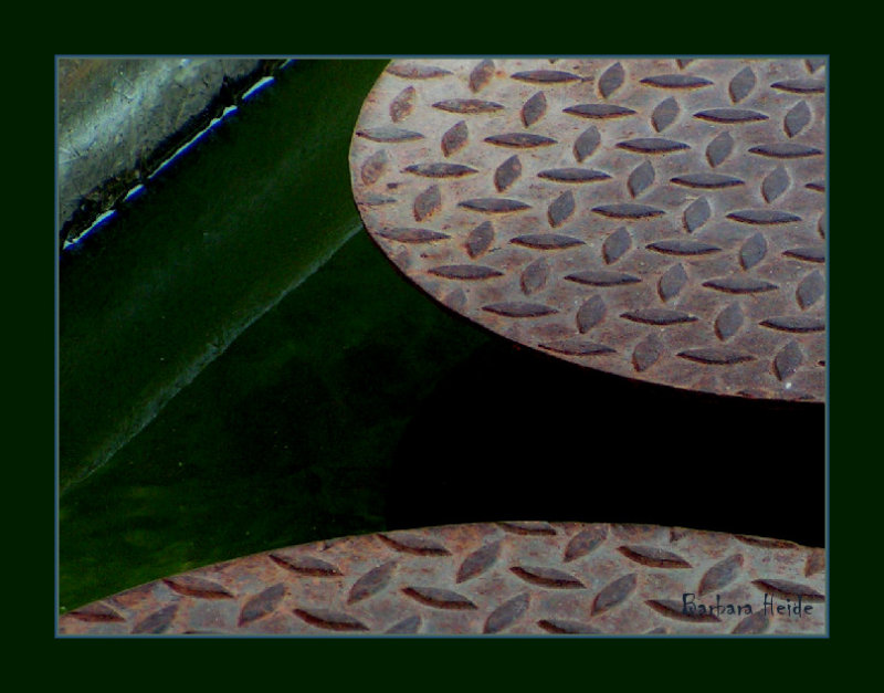 footsteps in the pond