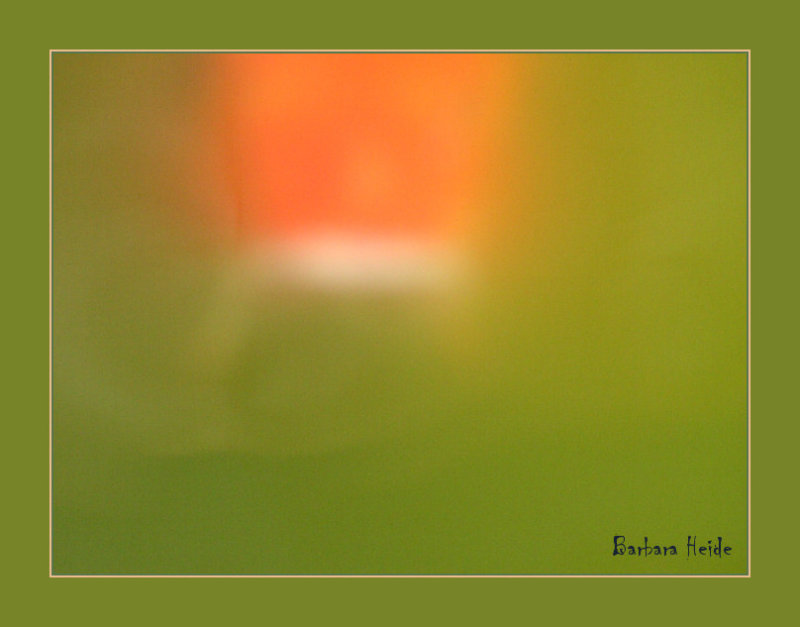 goldfish
