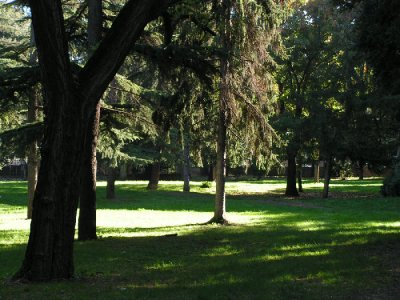 villa borghese