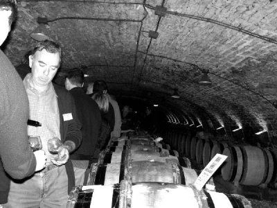 tasting  vintage 2006 in the cellars of Hospices de Beaune