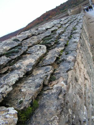 the wall of Clos de Vougeot