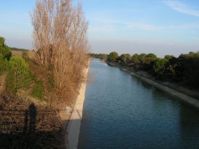 camargue