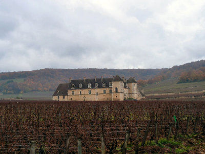 Clos de Vougeot