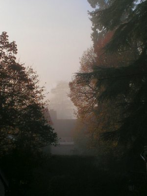 brume matinale