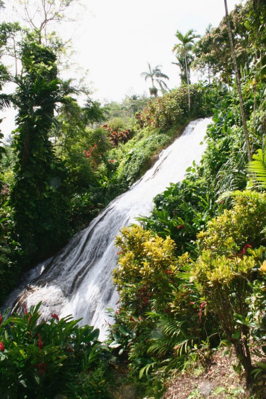 Ocho Rios