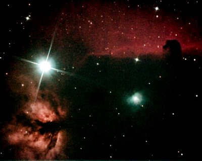 Horsehead and Flame Nebulae