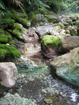 Rio Celeste 07.JPG