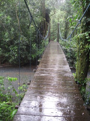 Rio Celeste 15.JPG