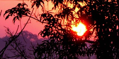 Goan Sunrise